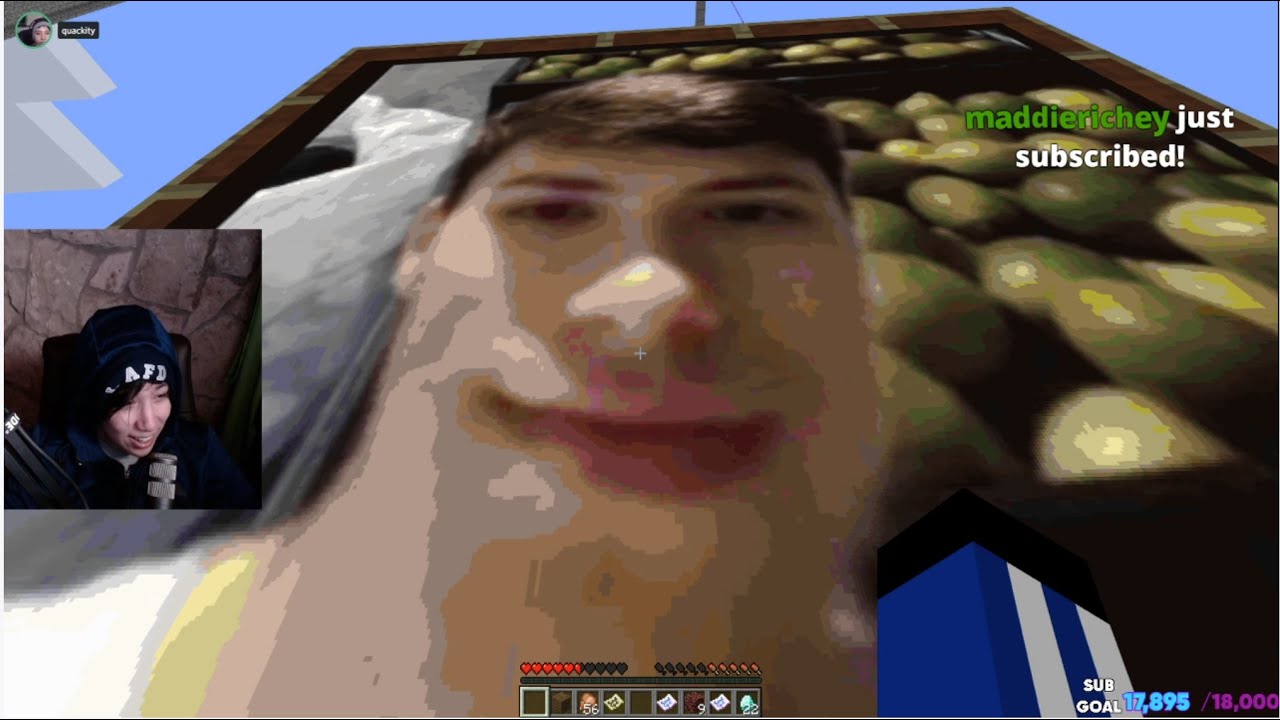 pic Dream Smp Wallpaper Quackity quackity pranks the whole dream smp