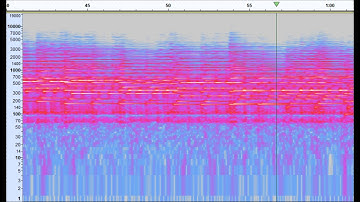 Bach Music Seen Through Spectral Analysis  - Prelude in C