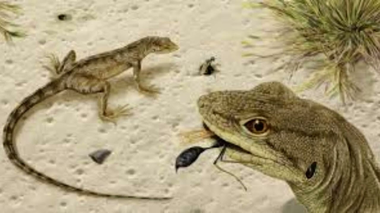 A stomach-churning discovery! Fossilised VOMIT found in Utah reveals a banquet of prehistoric amphi