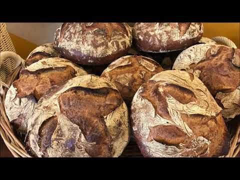 RONDO - Round and long-moulded bread on BrotStar 3000 fed by Dough Divider 3000j