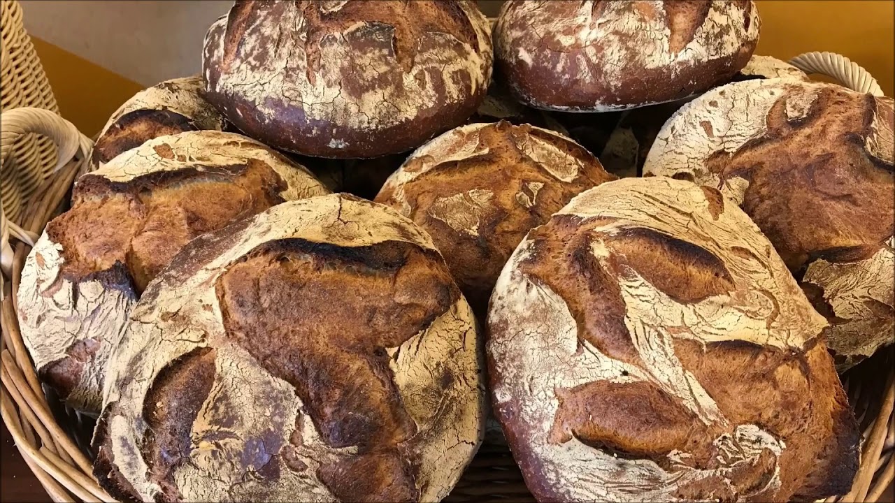 RONDO - Round and long-moulded bread on BrotStar 3000 fed by Dough Divider 3000j