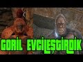 Komik Goril Evcilleştirme !!!! - Ark Survival Evolved 2.Sezon