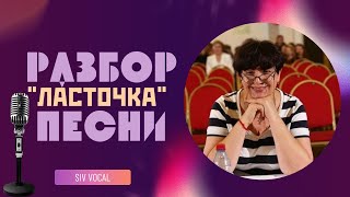 картинка: Разбор песни Ласточка | Автор песни Анна Пингина