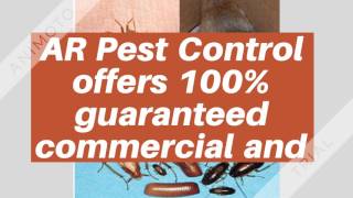 Pest Control Service Mississauga