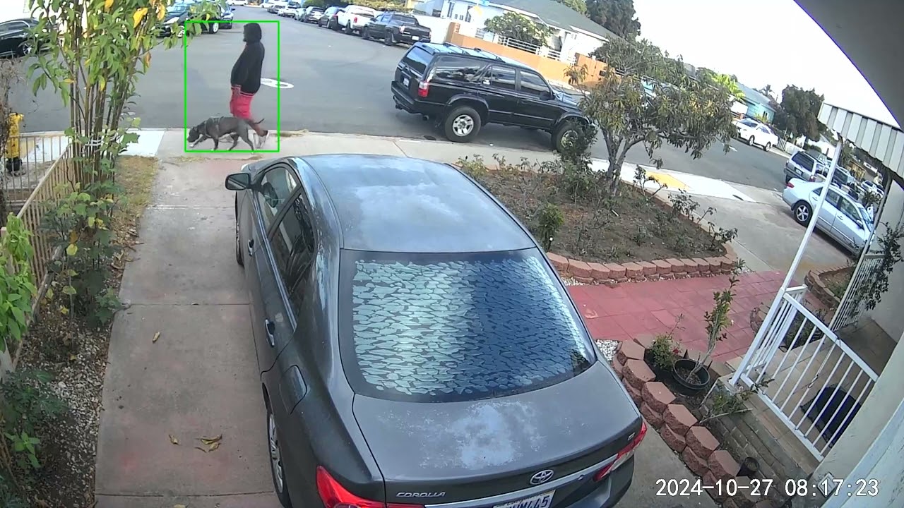 person with dog big black guy garage 