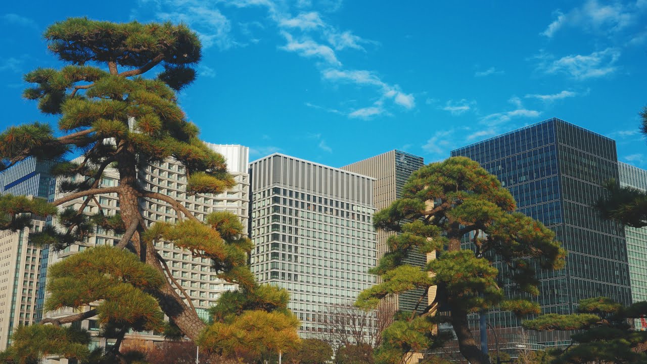 TOKYO Cinematic Short Film - SONY A7C II