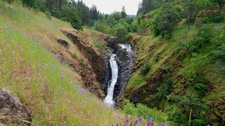 Columbia River Gorge Mosier Plateau Hike