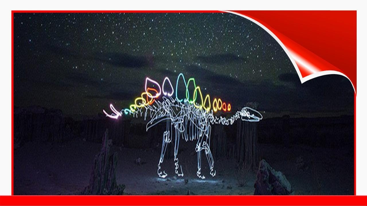 Crazy Creatures Brought To Life With Light Painting 😃