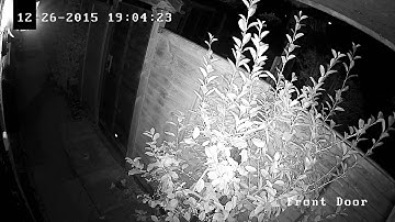 IP Camera Browser Live View and Playback