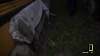 Alaska State Troopers Midnight Poachers | Season 3 Episode 9