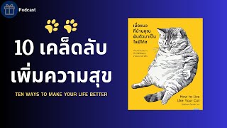 10 แนวคิด "มีความสุขได้ง่ายๆ" แบบน้องแมว How to live like your cat  | TODAY IS PRESENT EP.3