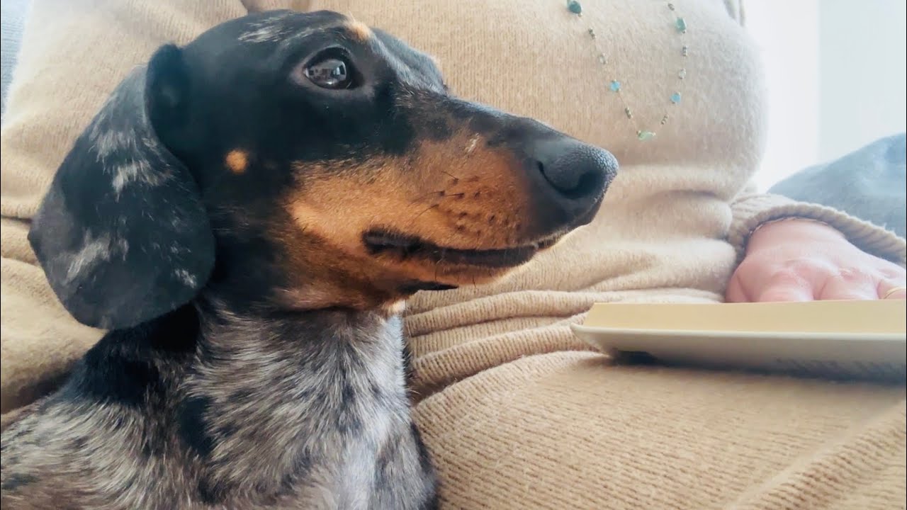 МИНИ-ТАКСА НУЖНА ПОДБАВКА