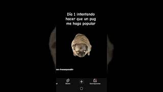Primer día usando el pug para subir los 212 subscriptores