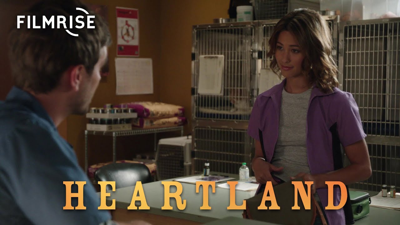 Download Heartland - Season 8, Episode 8 - The Family Tree - Full Episode