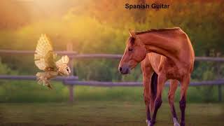 Spanish Guitar - Best Hits Songs 2020