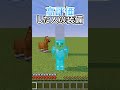 【マイクラ】○○してくれた人の装備(第一弾) #マイクラ #shorts