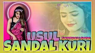 USUL SANDAL KURI _|_ New Version Santhali Song_|_ 2023 Dj Ajit Dashrath Sunil Charhi Hazaribagh