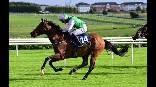 Emmet Mullins Does It Again Teed Up Is Produced In Great Shape To Win Again At Galway