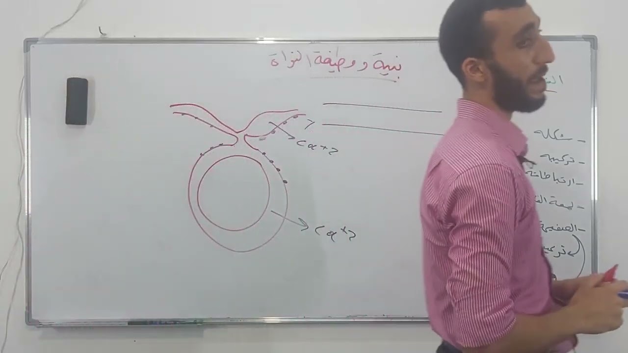 الغلاف النووي