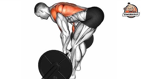 Hoe je de Barbell Bent Over Row uitvoert | Rugoefening!