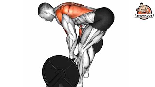 How To Do Barbell Bent Over Row Back Exercise
