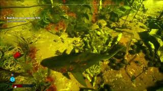 A Murder In Dead Horse Lake