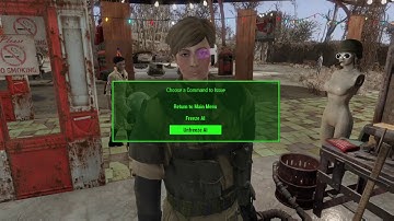 Fallout 4 mods: Custom Companions!