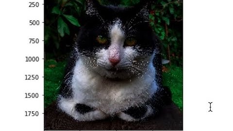 Python Tutorial: Gamma Correction