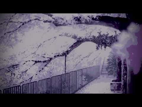 snoh aalegra - nothing burns like the cold ft. vince staples {slowed + reverb}