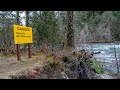Stamp River Trail - Port Alberni, British Columbia・4K HDR