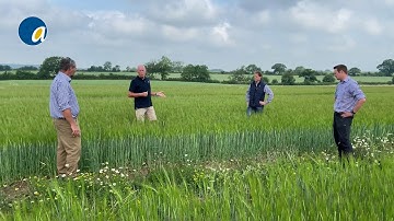 Project Lamport 2020 - Answering some frequently asked questions