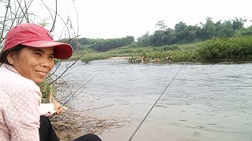 Câu cá rô đồng ở Củ Chi