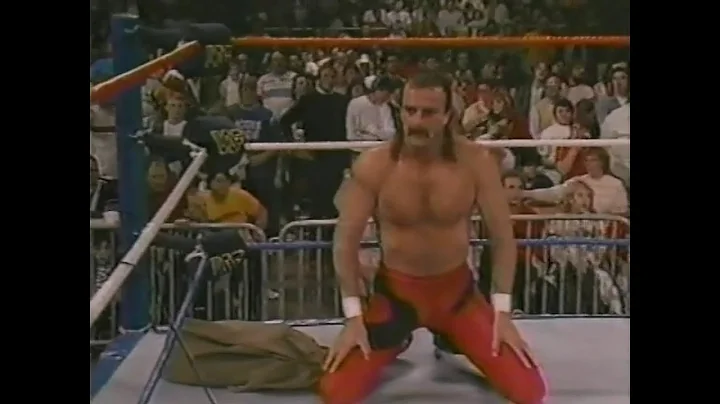 Dick Slater vs Jake Roberts   SuperStars Dec 13th, 1986