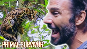 Primal Survivor | Mighty Mekong | Edible Gold