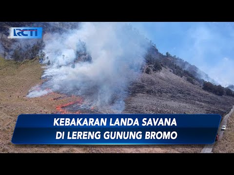 Kebakaran Landa Savana di Lereng Gunung Bromo, Probolinggo, Jatim - SIP 02/09