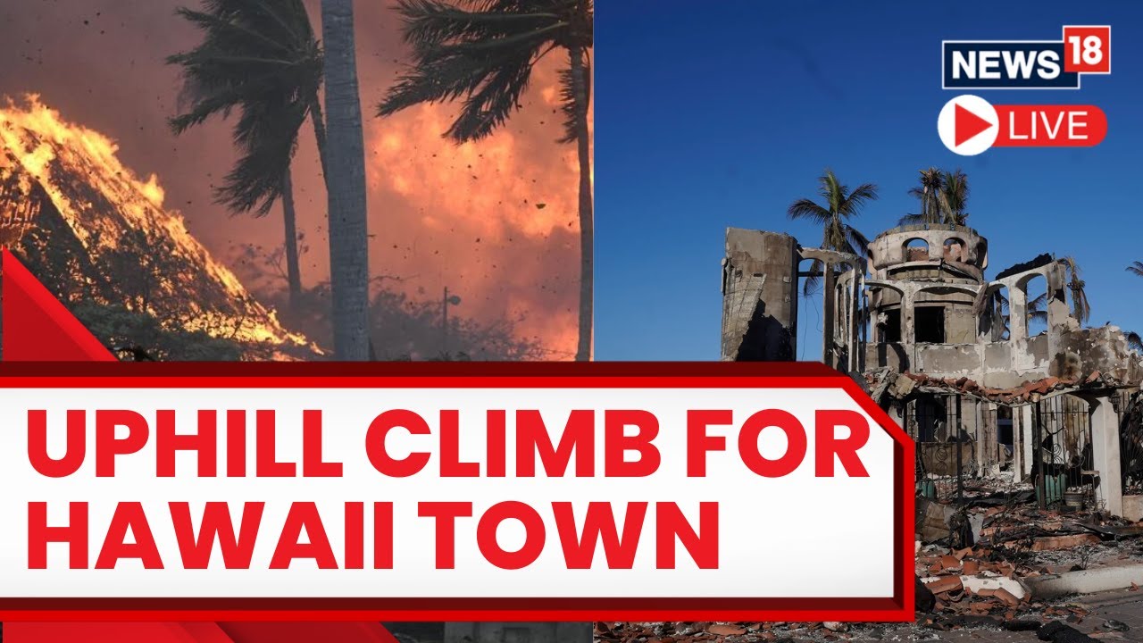 Maui Fires Today Live | Search For Victims Continues After Wildfire In Maui | Hawaii Fires LIVE News