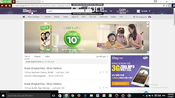 Nhạc intro của Vietnam Miner, Jaki