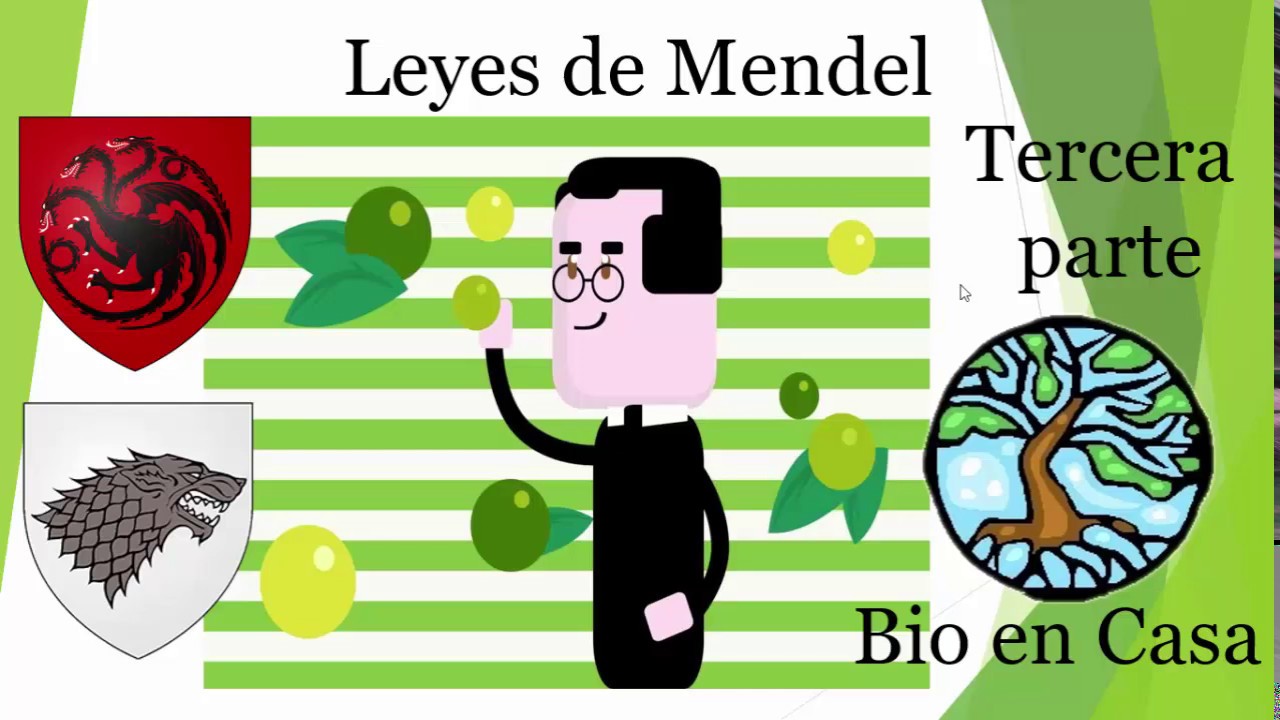 Tercera ley de Mendel