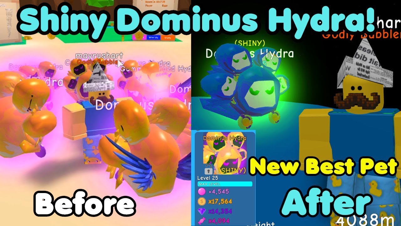 I Got Shiny Dominus Hydra Max Level New Rarest Best Pet Bubble Gum Simulator Youtube - noob with shiny dominus hydra best dominus pet overpowered bubble gum simulator roblox noob bubble gum