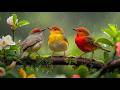 Relaxing Piano Music with Bird Sounds | Gentle Nature Sounds for Deep Relaxation