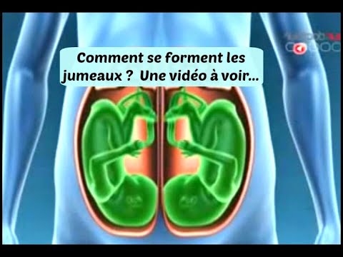 Vidéo: Pourquoi des jumeaux identiques peuvent-ils être de sexe différent ?