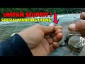mancing ikan uceng di sungai serayu paling asyik pake umpan jitu strike terus pokoknya
