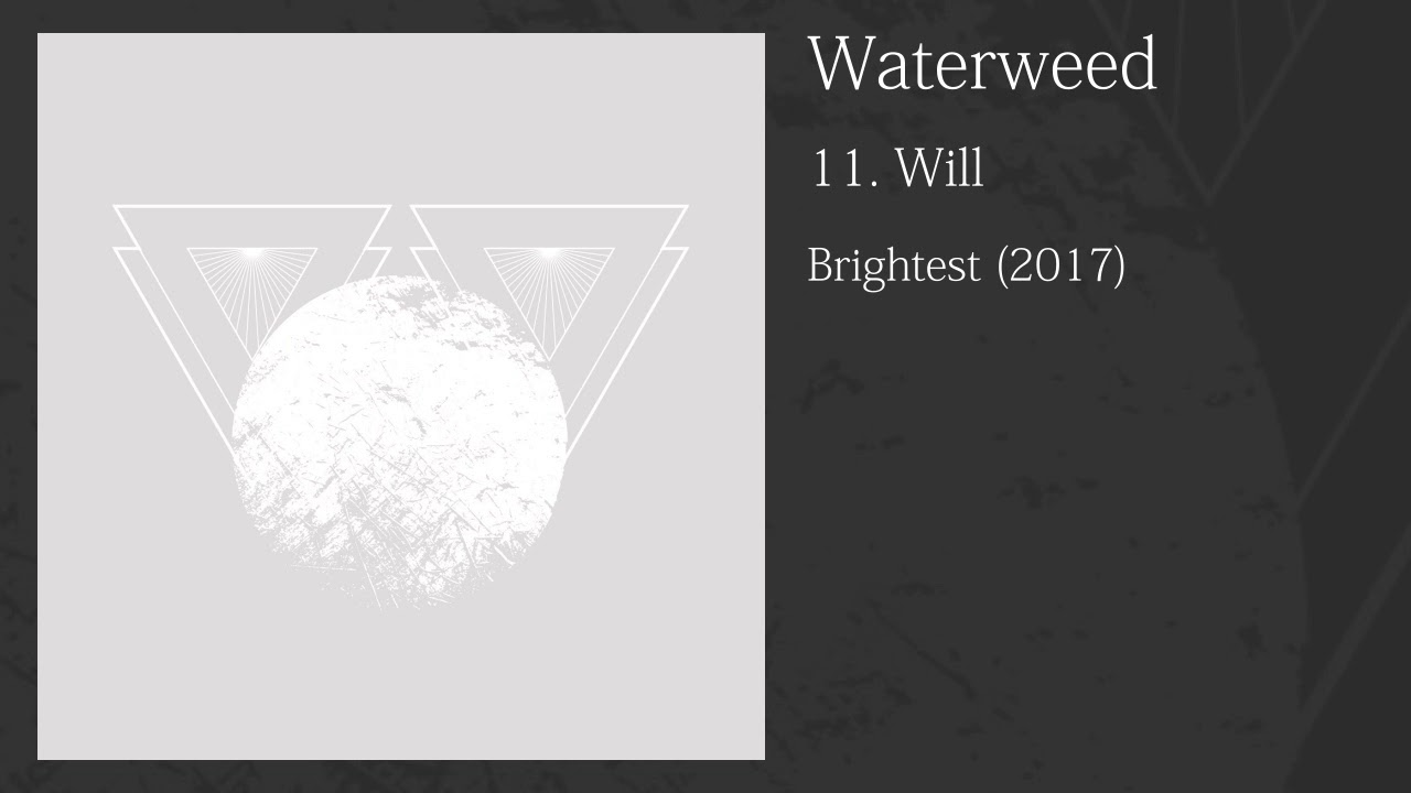 Obejrzyj Waterweed - Will w YouTube Obejrzyj Waterweed - Will w YouTube