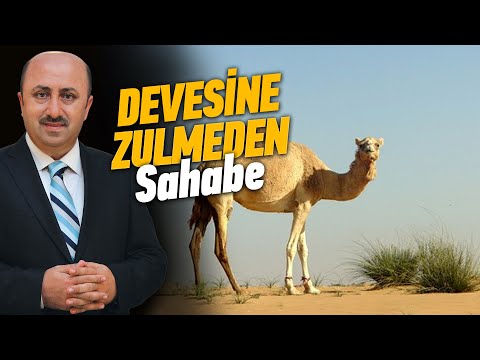 Devenin Peygamber'e Şikayeti | Ömer Döngeloğlu