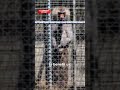 Secret Government baboon facility under scrutiny | A Current Affair
