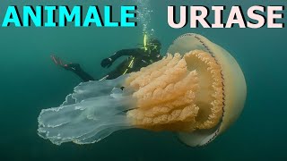 15 Creaturi Uriase De A Caror Existenta Nu Stiai