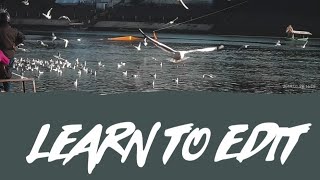 Editing tutorial || Editing bird photos on Adobe Lightroom || screenshot 3