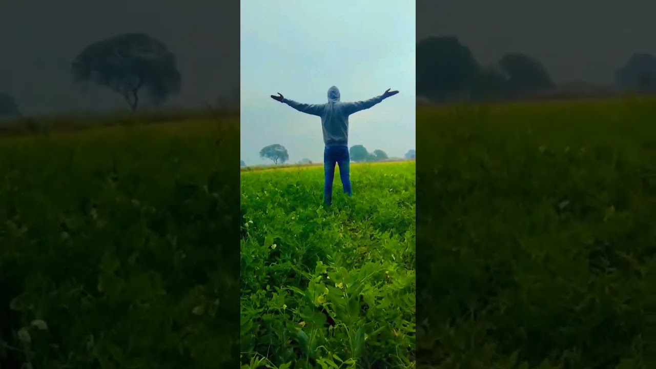 Boycott Pathan || Boycott Bollywood || Boycott Shah Rukh Khan || 