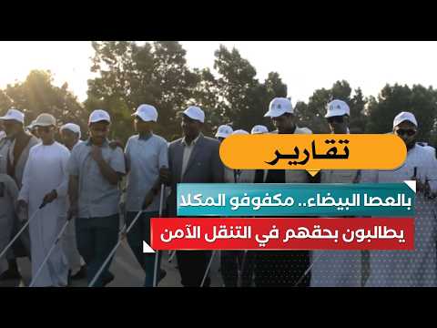 With the White Cane: Visually Impaired Residents of Mukalla Demand Their Right to Safe Mobility!