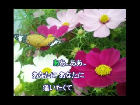 エリカの花の咲く頃に　　　　カラオケ